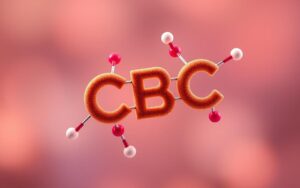 CBC molecular structure