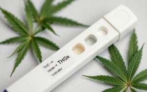 urine drug tests and THC metabolites