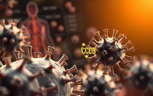 does cbd affect your immune system