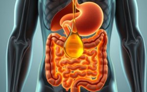 Can CBD oil cause diarrhea?