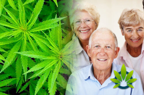 How Can Senior Citizens Benefit From CBD
