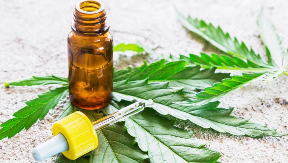 What Connects CBD To Gut Health