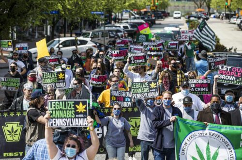 cannabis activists